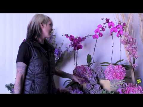 how to dye hydrangeas purple