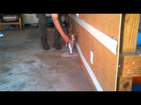 florida dog trainer - http://k9sniff.com/ K9 Bedbug Detection. Phoebe the Florida Bed Bug Dog. Call us before you travel, buy or rent. K9 Sniff, LLC is a Florida Based K-9 bedbug ...