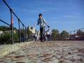 AVIGNON - Davey Dance Blog- Sur le pont d'Avignon