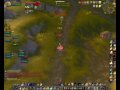 Prot paladin pvp (crits included)