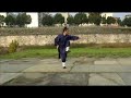 Wudang tai yi wu xing quan Wudang tai yi wu xing quan