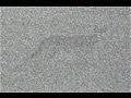 A-COYOTE-CIRCLES-A-P