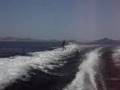 Wakebording @ Manza