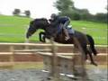 videos de Alf & Whisper at home