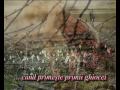 vama-fericire-djacuzza-mix.html