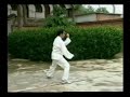 Taiji - Chen Style Taiji - Chen Style