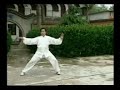 Taiji - Chen Style