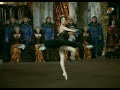 wiener staatsopern balletts
wiener symphoniker
rudolf nurejew & margot fonteyn
der schwanen see
version: v.p.begitschew & w.geltser