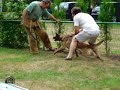 Puppy training Fils 8 mths Puppy training Fils 8 mths