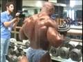 Tampa-Bay-Pro-Bodybu