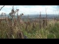 BUTSER HILL and camera on board grob g103