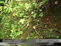 CYCLONE DEAN en guadeloupe