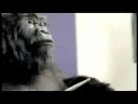 Cadbury Gorilla: Eclipse of the Heart Remix
