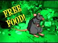 Ricky Rat: FREE Money, FREE Food, etc