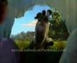 shrek2 �orum versiyonu