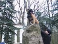 malinowy pomnik malinowy pomnik