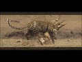 Leopardo cazando un Cocodrilo