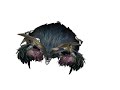 New Druid Flight Form in Wow Expansion