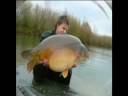 The Carpspecialist Etang de la Livardiere Carp Stoking