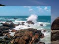 Natiruts - Praia Dos Golfinhos Natiruts - Praia Dos Golfinhos
