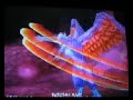 ドラゴンクエスト9　ドルマゲス６１ＬＶ戦