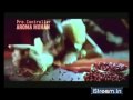 Drona 2010 (Trailer) View Video