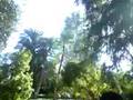 Frikeando por Sevilla con la DS