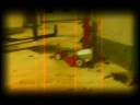 videos de D-EMAG