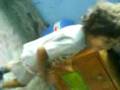 videos de Angel las maracas