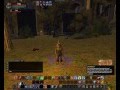 Vanguard Necromancer Level 30 - all Spells and Pets