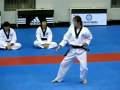 bigak poomsae