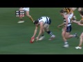 AFL 2009 Round 17 Geelong v Hawthorn Final 5mins