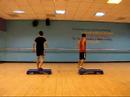 freestyle-step-aerobics-basic-ff-maxis-14-jun-2008-duo.html