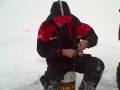 VID00004 VID00004