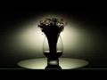 Timberland - Apologize (feat - One Republic)