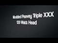 Modded Peavey Triple XXX