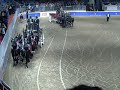 Royal horse show percheron hitch 1