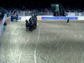videos de Royal horse show percheron hitch 1