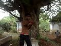 Yashik on fire
