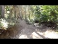 the mile and boyscout - 