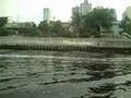 tHe tAbiNg iLoG sHoW