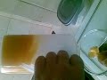 Custard trick.mp4 Custard trick.mp4