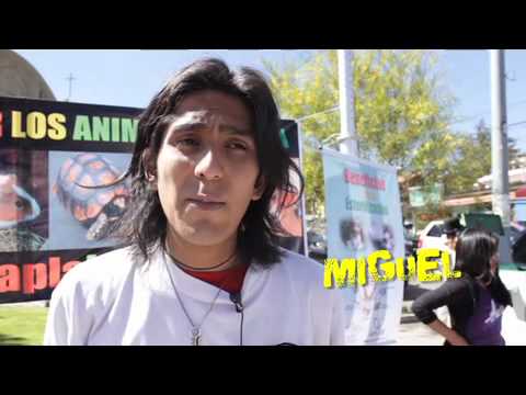 Imagen de previsualización de YouTube