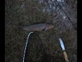 Karasjokka Akkanasjokka