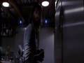 The Thing: Dogs!