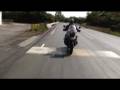 videos de Behemot 