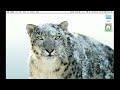 Dreamweaver CS5 Tutorial - How to make a website using photoshop and dreamweaver PART1