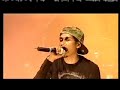 beat assailant live aux vieilles charrues 2007