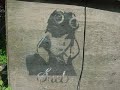 Saeb Stencils