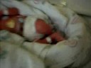 My new babie brothers